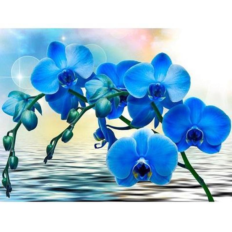 Blauwe orchidee Diamond painting | Eigen foto | Dieren | Kopen | Dikke dames | Action | Nederland | Steentjes | Diamant | Diamond Painting Expert