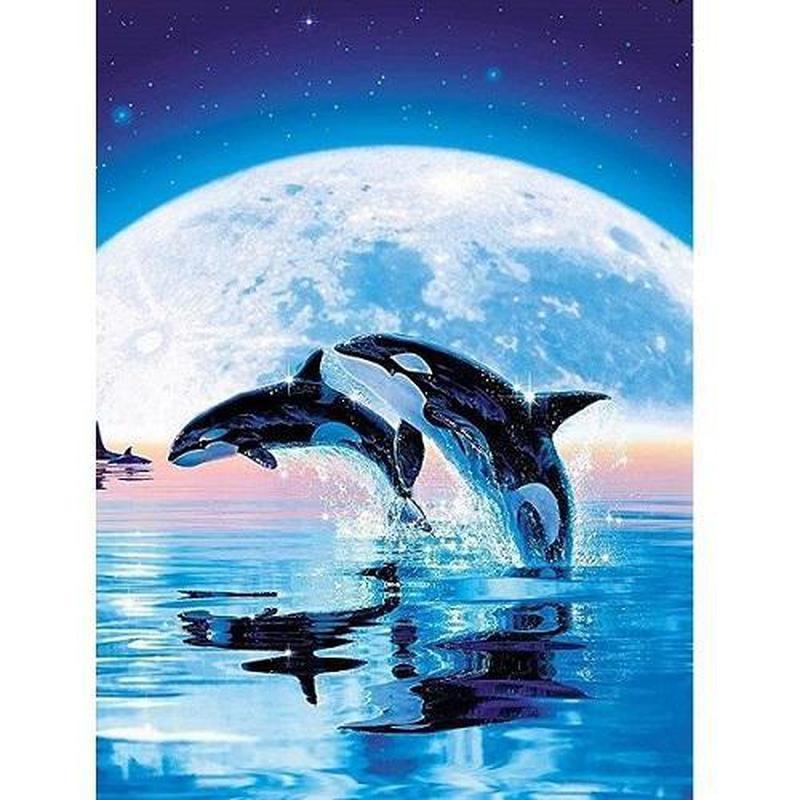 Springende orca's Diamond painting | Eigen foto | Dieren | Kopen | Dikke dames | Action | Nederland | Steentjes | Diamant | Diamond Painting Expert