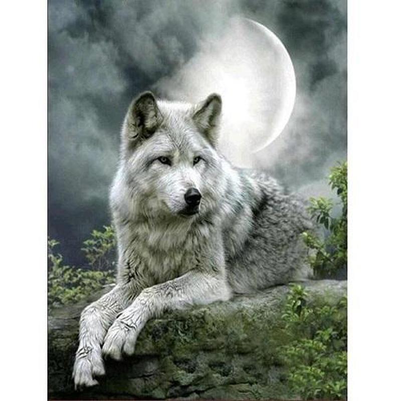 Wolf bij maanlicht Diamond painting | Eigen foto | Dieren | Kopen | Dikke dames | Action | Nederland | Steentjes | Diamant | Diamond Painting Expert